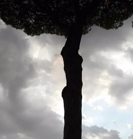 Appartamento Piccolo Nido *